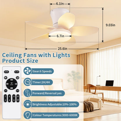 Small Ceiling Fan with Lights (White / 25 Inch)