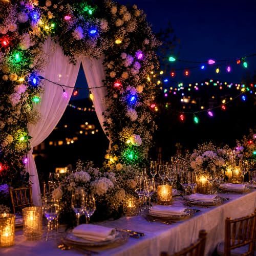 C6 Gentle Twinkle Christmas Lights