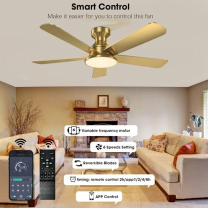 Ceiling Fans with Lights