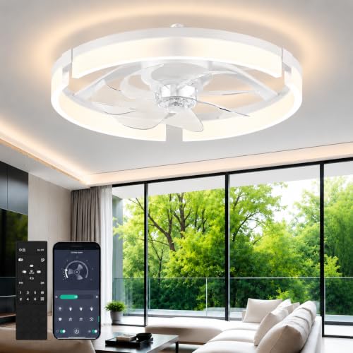 Ceiling Fans with Lights and Remote
