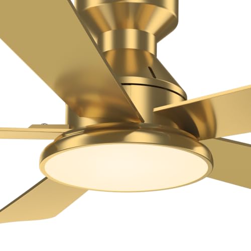 Ceiling Fans with Lights
