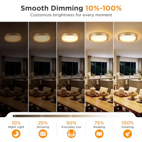 Flush Mount Ceiling Light