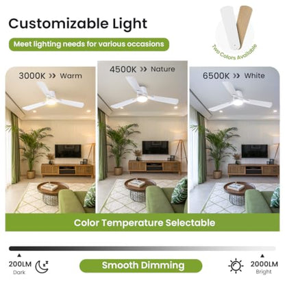 Ceiling Fans with Lights and Remote