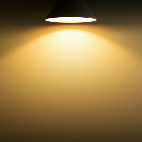 A19 Dusk to Dawn Light Bulbs