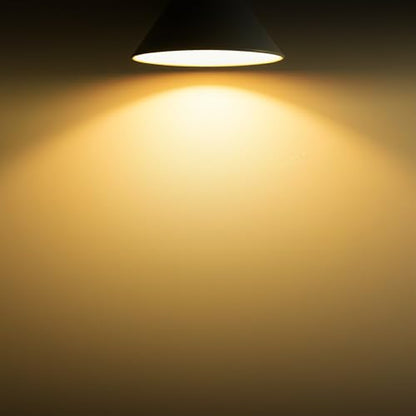 A19 Dusk to Dawn Light Bulbs