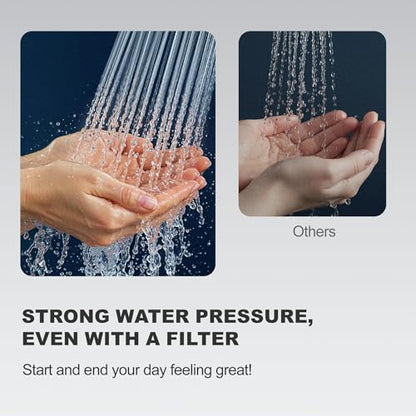 Filtered Shower Head