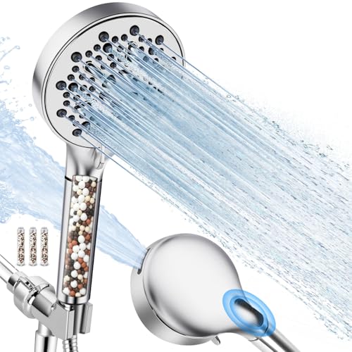 Filtered Shower Head with Handheld