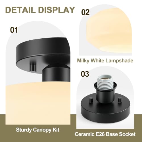 Modern Ceiling Light