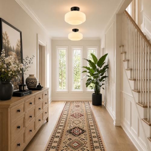 Modern Ceiling Light