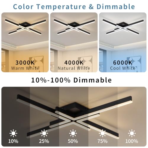 Modern Ceiling Light Fixture