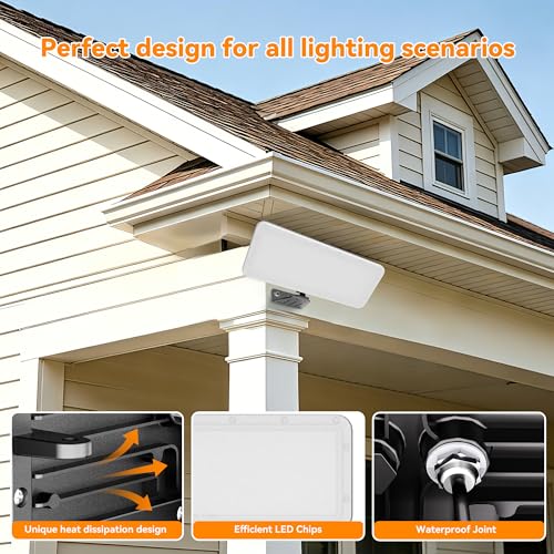 100W 2 Pack LED Flood Lights Outdoor (Black / 100 Watt 2 PACK)