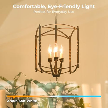 E12 Light bulbs (12 Pack - 6w / Warm White)