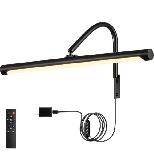 Plug in Picture Light for Wall