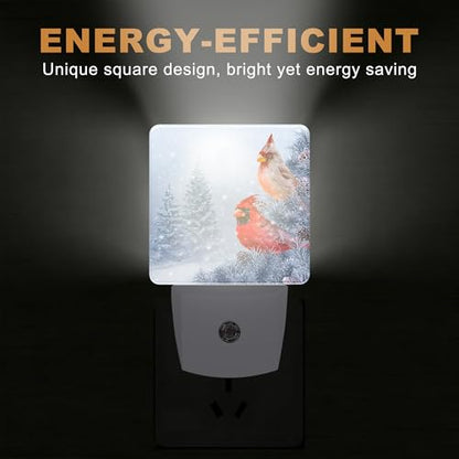 Night Lights Plug into Wall (Cardinal A)