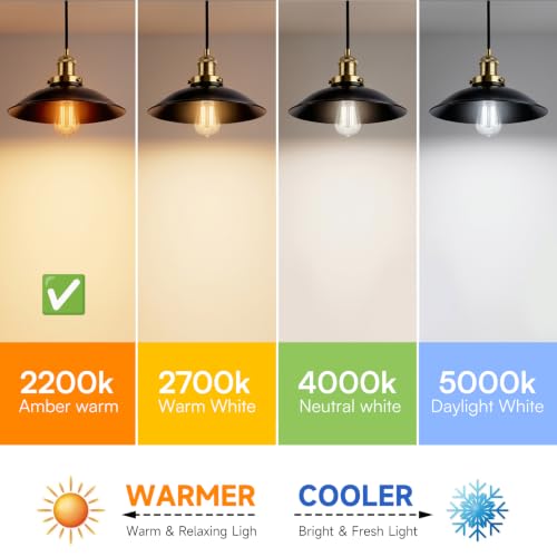 Vintage Edison LED Light Bulbs
