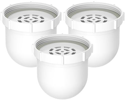 Water Filt ers for C