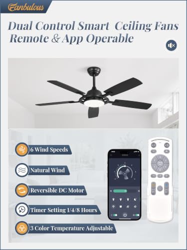 Large Ceiling Fans with Lights
