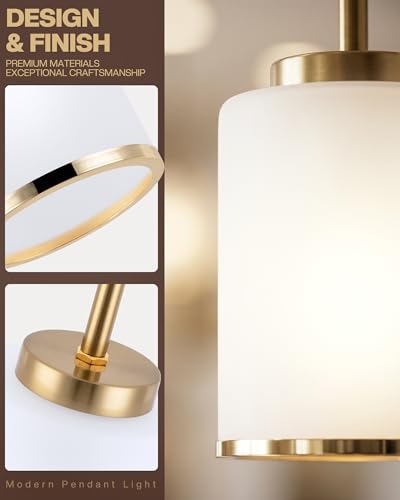 Indoor Pendant Light Fixtures