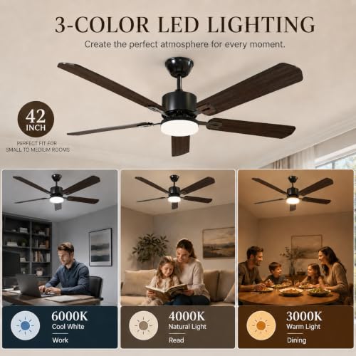 Ceiling Fans with Lights