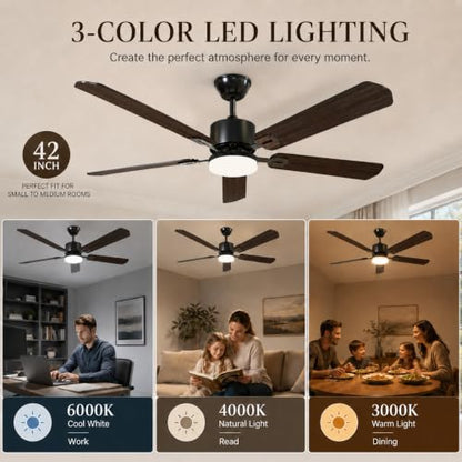 Ceiling Fans with Lights