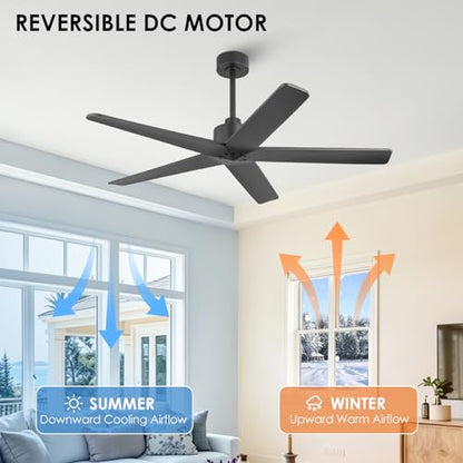 5 Blade Ceiling Fan without Lights