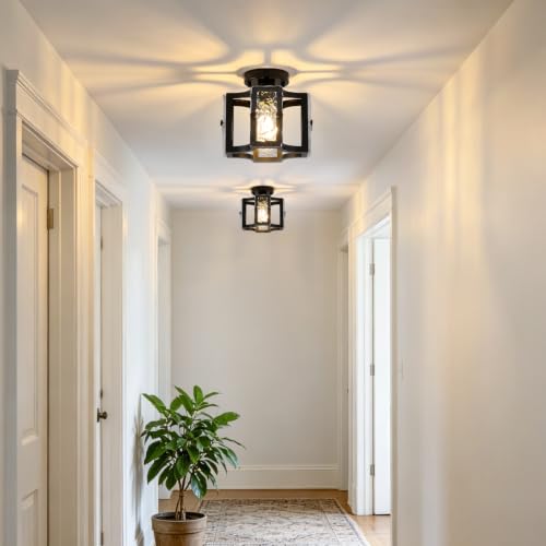 Modern Flush Mount Ceiling Light with Metal and Glass Frame