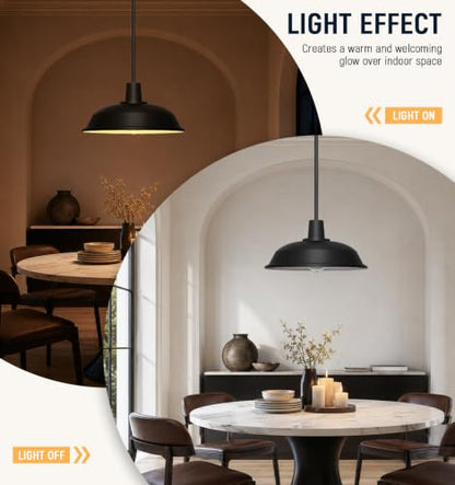 Indoor Pendant Light