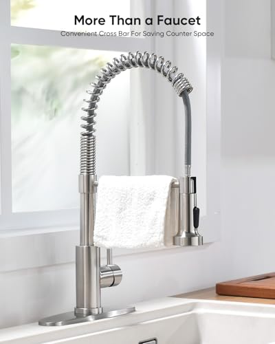 Kitchen Faucet 9009SN