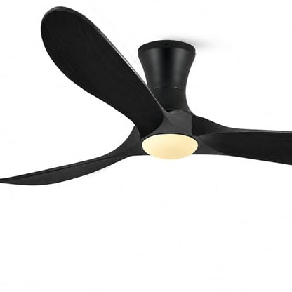 low profile ceiling fan with Light