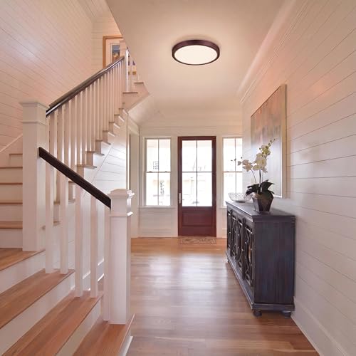 LED Flush Mount Ceiling Light