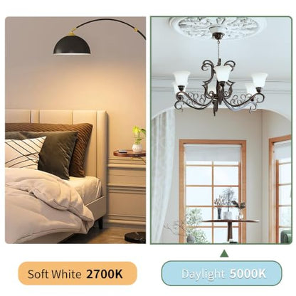 A19 LED Light Bulbs