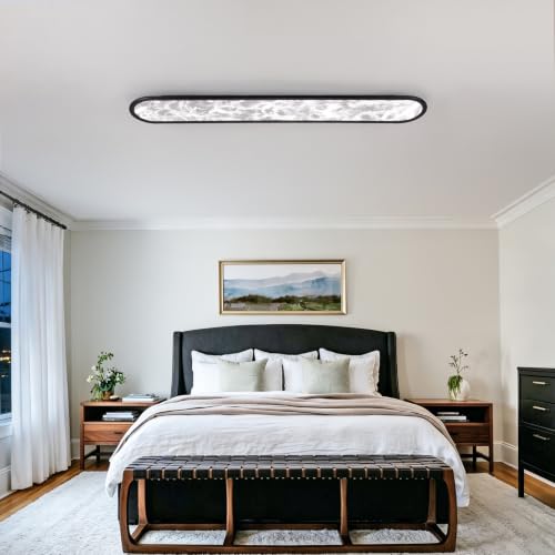 Modern LED Ceiling Light