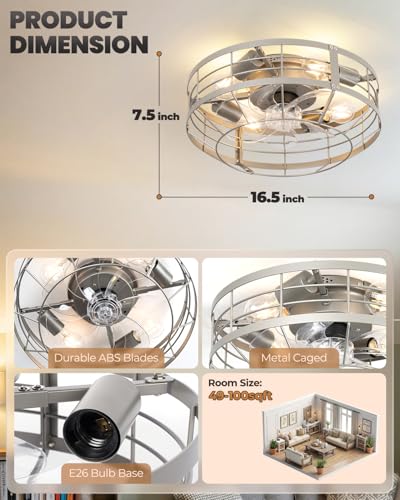 Black Ceiling Fan with Light