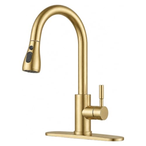 Commercial Kitchen Faucet with Pull Down Sprayer
