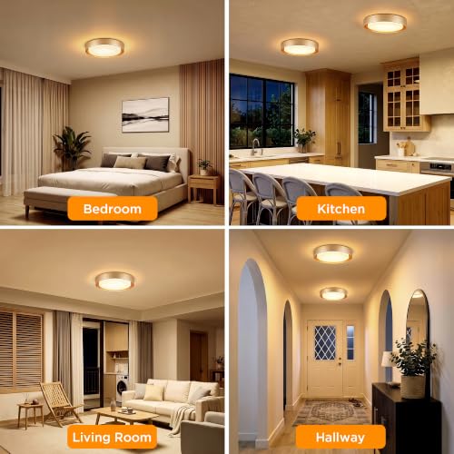 Flush Mount Ceiling Light