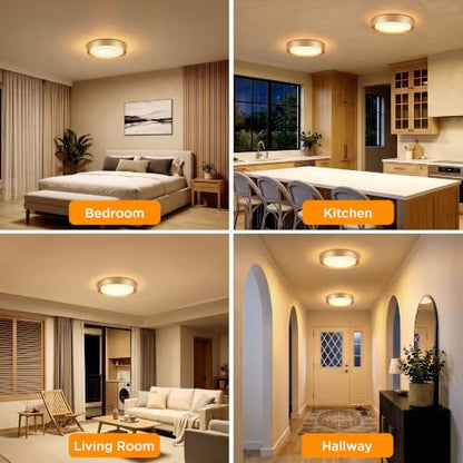 Flush Mount Ceiling Light