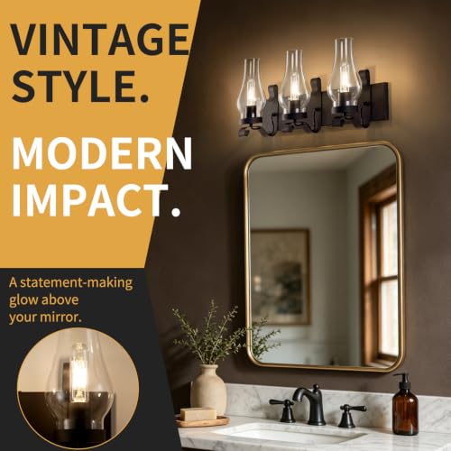 Vintage Farmhouse Bathroom Vanity Lights (Black)