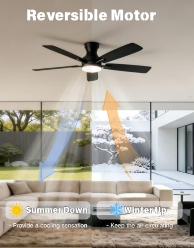 Ceiling Fans with Lights