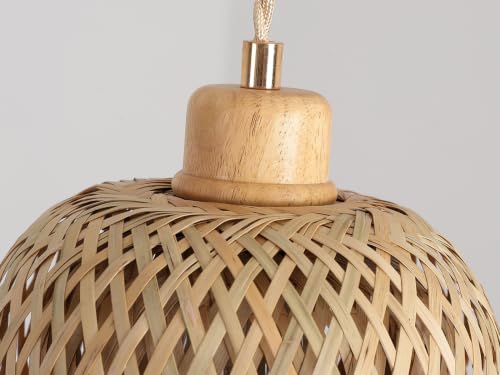 390501P Pendant Light
