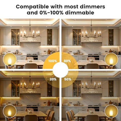 Dimmable LED Candelabra Bulb 40 Watt E12 Frosted Glass Light Bulb (Frosted-4w-10 Pack)