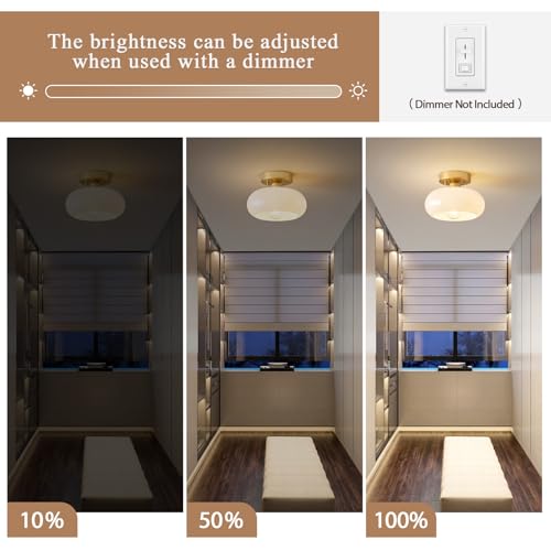 Moredern Black Ceiling Light0 00001