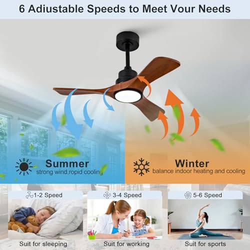 Ceiling Fan with Light