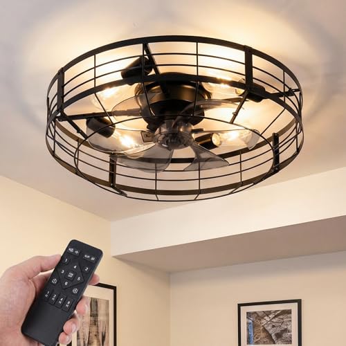 Black Ceiling Fan with Light