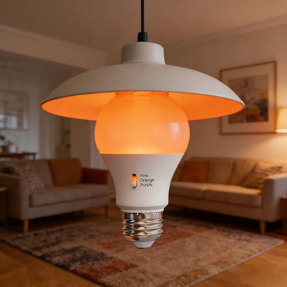 LED Color Changing Light Bulb