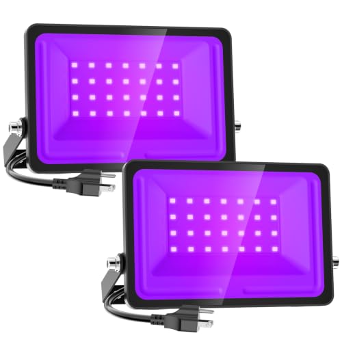 Halloween Flood Lights