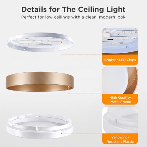 Flush Mount Ceiling Light