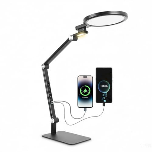 LED Desk Lamp for Home Office Desk