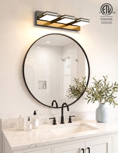 Bathroom Vanity Light