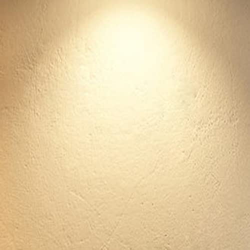6 Pack G16.5 LED Light Bulbs