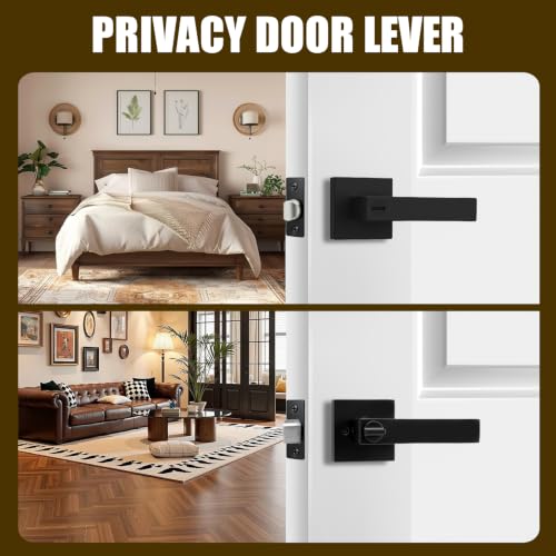 Privacy Door Handle with Lock